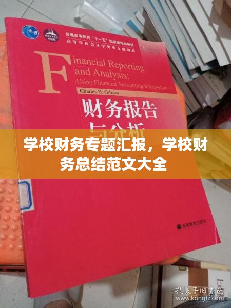 学校财务专题汇报，学校财务总结范文大全 