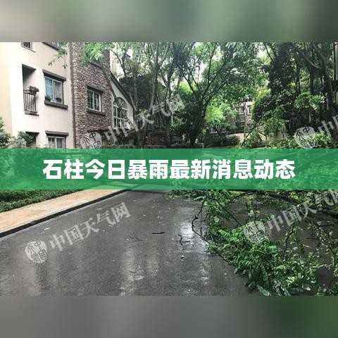 石柱今日暴雨最新消息动态