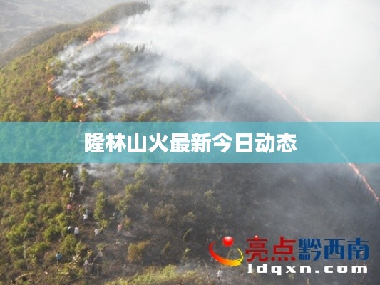 隆林山火最新今日动态