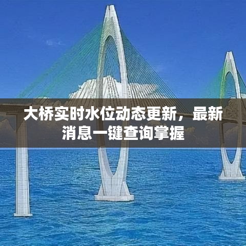 大桥实时水位动态更新，最新消息一键查询掌握