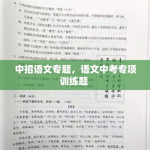 中招语文专题，语文中考专项训练题 