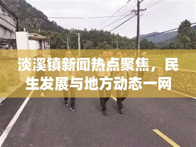 淡溪镇新闻热点聚焦，民生发展与地方动态一网打尽