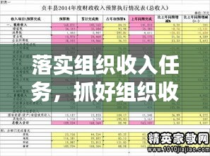 落实组织收入任务，抓好组织收入工作 