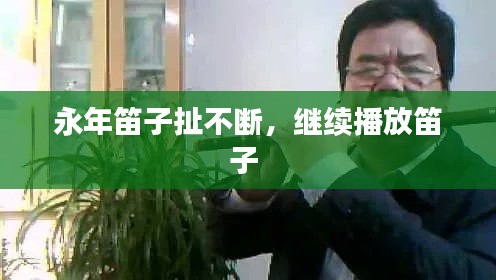 永年笛子扯不断，继续播放笛子 