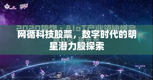 网循科技股票，数字时代的明星潜力股探索