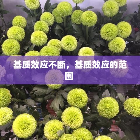 基质效应不断，基质效应的范围 