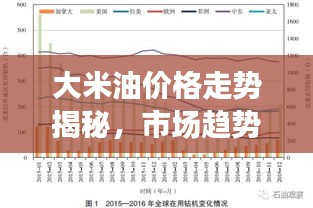 大米油价格走势揭秘，市场趋势与影响因素分析
