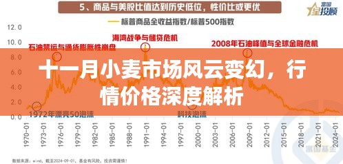 十一月小麦市场风云变幻，行情价格深度解析