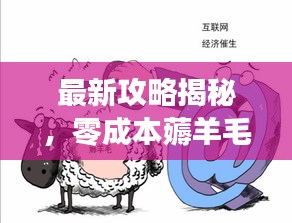 最新攻略揭秘，零成本薅羊毛的巧妙利用之道