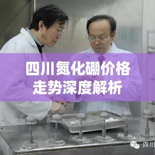 四川氮化硼价格走势深度解析